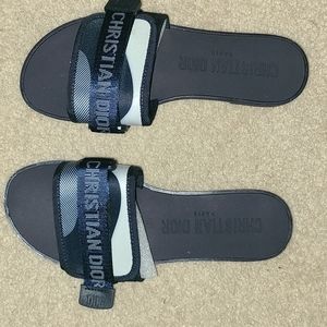 Christian Dior Evolution Slide